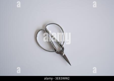 Vintage Chinese sewing scissors with dragon engraving isolated on white background. Stock Photo
