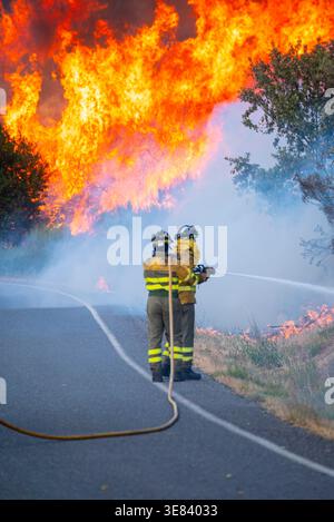 Two firemen spraying water on intense forest fire The Concept of Emergency Stock Photo