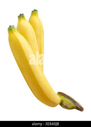 Three ripe yellow banana fruits in a banana hand is isolated on white background with clipping path. Stock Photo
