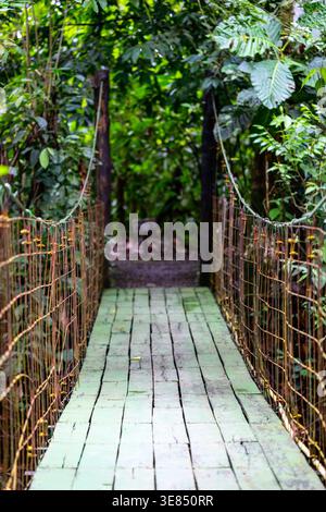 Lush tropical forest lines the serene river in this travel concept from ...