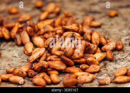 Close-up of roasted cocoa beans scattered on a rustic wooden surface, warm brown tones and shallow depth of field, natural light, food ingredient text Stock Photo