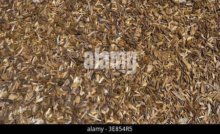Close-up view of finely shredded wood chips in various shades of brown, creating a textured surface suitable for landscaping or gardening applications Stock Photo