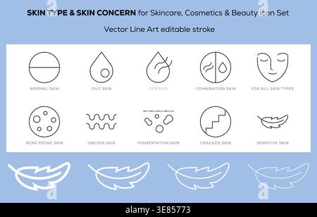 Skin Type and Skin Concern Icon Set for Skincare Cosmetics and Beauty Illustration Vector Illustration Stock Vector