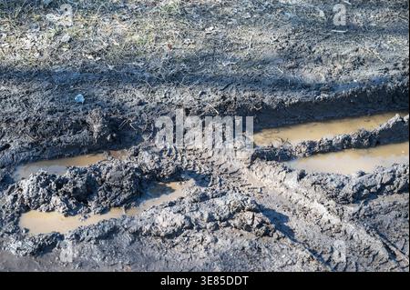 Deep muddy tire tracks with water puddles on dirt road Stock Photo
