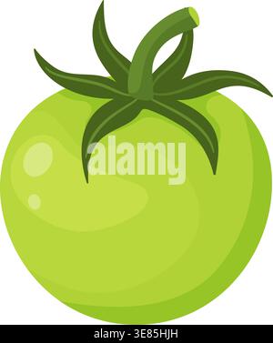 Unripe green tomato with a stem Hand drawn trendy flat style isolated on transparent background. For stickers, menus, posters, gardening guides, organic farming blogs, healthy cooking designs. Vector Stock Vector