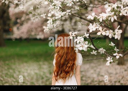 Back view of a young woman with long red hair in a white dress standing beneath blooming magnolia branches in a spring park, soft bokeh and serene moo Stock Photo