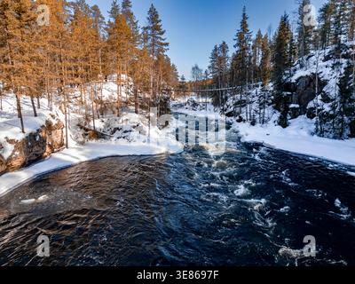 Scenic winter river rapids flow through a snowy forest canyon in Finland, with icy banks, pine trees and clear blue sky creating a peaceful Nordic lan Stock Photo