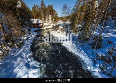Fast river rapids cut through a snow-covered pine forest in Finland, with winter sunlight and icy banks creating a dramatic Nordic landscape scene. Stock Photo