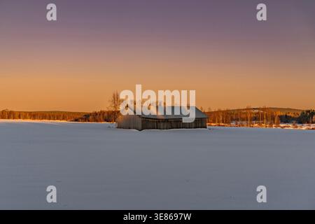 Wooden barn stands alone on a vast snow-covered field in Finland, bathed in warm winter sunset light beneath a pastel sky, with distant forest on the Stock Photo