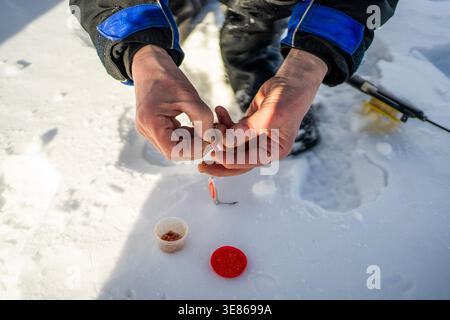 Close-up of angler hands baiting a hook for ice fishing on a snowy frozen lake in Finland, with small container of bait and tackle on the ice in brigh Stock Photo