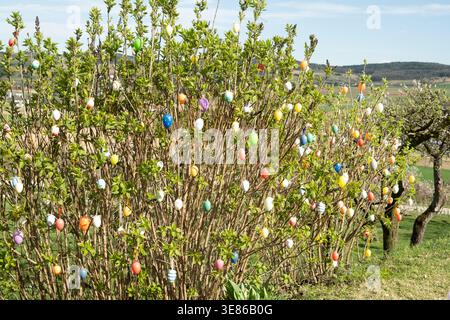 Easter holiday decorations in Austria, bright eggs on green branches under a blue sky Stock Photo