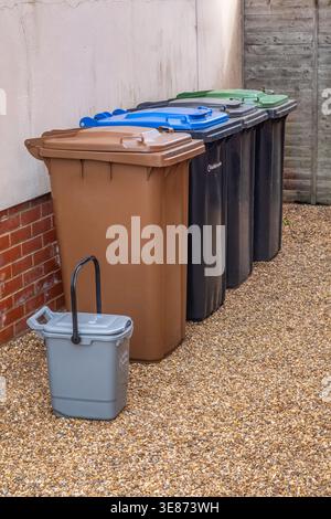 Recycling & waste bins. Suffolk, UK. Brown - garden waste, blue - containers, black - general rubbish, green - paper & card, grey caddy - food waste. Stock Photo