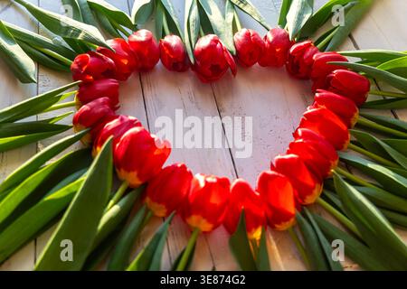 Red Tulips Forming Heart Shape on Wood. Bright red tulips arranged in a heart shape on a wooden surface, creating a romantic floral background with Stock Photo