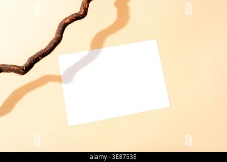Blank paper card and tree branch with shadow on yellow background. Top view, flat lay, mockup. Stock Photo