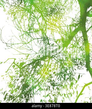 Silhouette of willow green tree branch. Not AI, vector illustration. Stock Vector