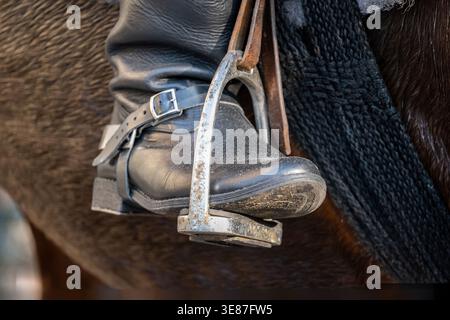 Extreme close-up of a cavalry rider’s black leather boot in a metal stirrup on horseback, traditional mounted uniform detail with horse tack and dark Stock Photo