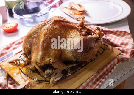 Golden roasted turkey. Delicious festive bird. Holiday dinner main course. Savory feast. Stock Photo
