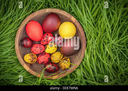 Eggs painted for Easter in a wooden plate on the grass Stock Photo