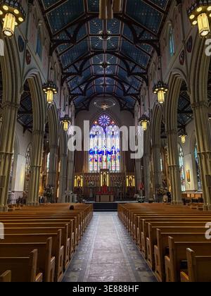 The nave of St. Michael's Cathedral Basilica in Toronto, Canada, featuring Gothic Revival architecture, stained glass, and wooden pews. Stock Photo