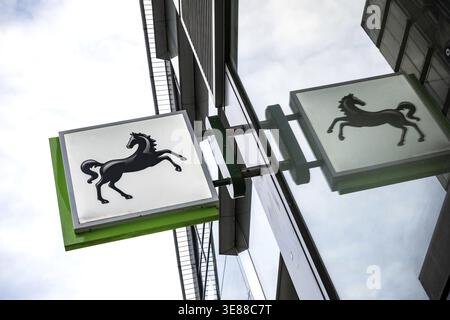London, UK, March 3rd 2026. Brand logo for Loyds Bank a British retail and commercial bank, traditionally considered one of the Big Four high street c Stock Photo