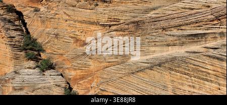 Sandstone rock face showing sedimentary layers, erosion, and cross bedding formations Stock Photo
