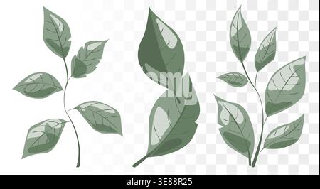 Dusty Sage Green Leaf Vector Set Minimalist Botanical Icons for Eco-Friendly Branding, Luxury Skincare Packaging and Wellness Identity. Clean Paths Stock Vector