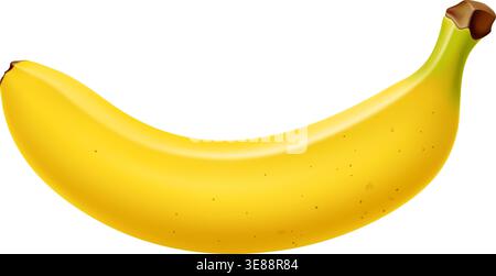 Realistic ripe yellow banana fruit for dessert and sweet food, isolated vector. Fresh unpeeled whole banana fruit in closeup macro 3D for organic juice or smoothie and dessert food product Stock Vector