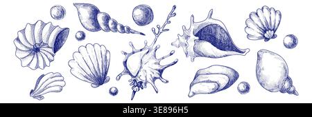 Vintage seashell sketch collection with hand drawn sea shells in blue ink line illustration. Marine doodle set of spiral conch and scallop, coral branch and pearl bubbles for nautical outline graphics Stock Vector