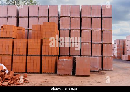 Red clay building blocks and hollow bricks sit stacked on wooden pallets at an industrial storage yard under a cloudy sky at a brick production site i Stock Photo