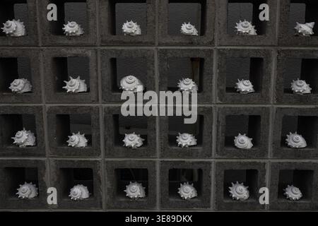 White seashells displayed in a concrete block wall pattern Stock Photo