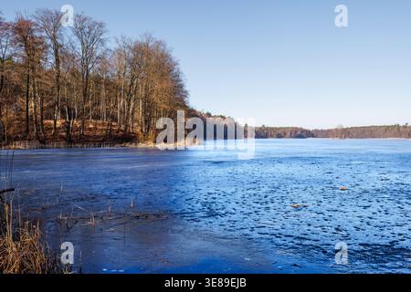 Melting, porous ice covers the surface of a forested lake. Blue ice on the lake's surface. Thin, porous ice. Stock Photo