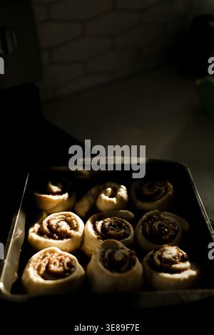 Homemade cinnamon rolls in a baking pan illuminated by sunlight Stock Photo