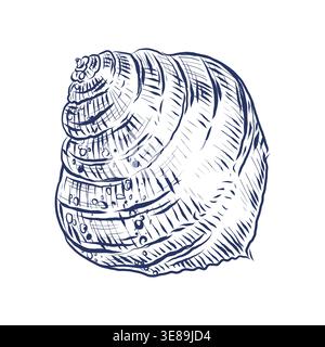 Seashell drawing isolated on a white background. Hand-drawn marine illustration of a sea snail shell. Sketchy nautical element for summer holiday Stock Vector