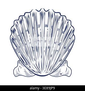 A hand-drawn vector illustration of a scallop. Perfect for beach decor and nautical-themed elements. Suitable for summer stationery designs, tableware Stock Vector