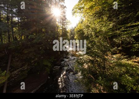 Sun rays beaming through forest trees over river Porcupine Mountains Stock Photo