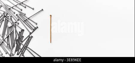 Collection of Various Nails With a Single Wood Nail Placed Apart in a Simple Layout Stock Photo