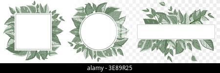 Modern Botanical Frame Collection Square, Circle and Banner Foliage Borders in Dusty Sage Green. Premium Vector for Eco-Branding and Wedding Decor. Stock Vector