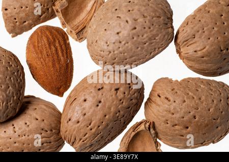 Almonds with shells placed on a surface for food design. Stock Photo