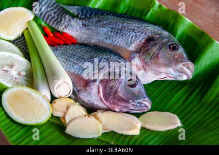 Fresh whole tilapia fish arranged on green banana leaves with lime slices and white mushrooms. Stock Photo