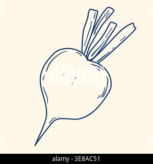 Beetroot hand drawn blue ink clip art. Root vegetable, single doodle style. Healthy organic food, nutritional product. Vector graphic Stock Vector