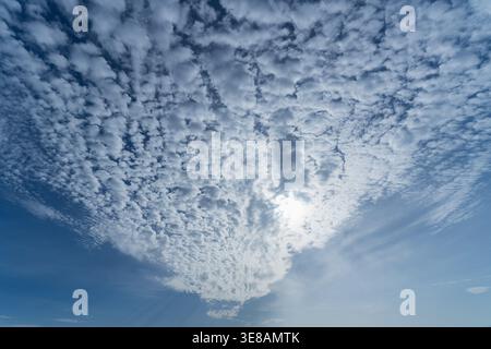 The sun shines through a vast expanse of textured altocumulus clouds creating a dramatic sky view Stock Photo