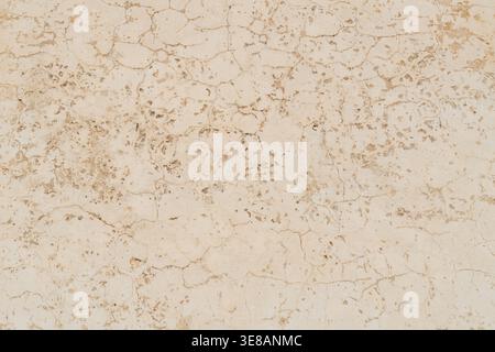 A detailed close-up of a beige textured surface featuring a network of fine cracks and natural mineral inclusions Stock Photo