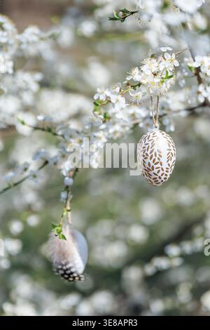 Easter eggs hanging on blooming spring tree Stock Photo