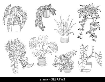 Hand drawn plants in various styles and pots Stock Vector