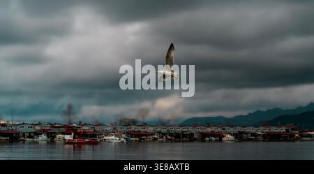 Seagull flying over a calm harbor with stilt houses and boats under dramatic dark storm clouds, coastal village waterfront, moody cinematic atmosphere Stock Photo