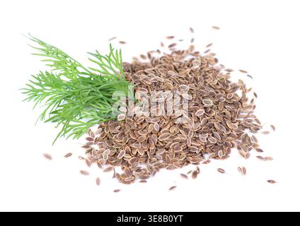 Dried dill seeds with a small bunch of fresh green dill isolated on white background Stock Photo