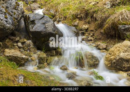 Small mountain waterfall flowing over rocks in alpine forest landscape. Stock Photo