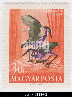 HUNGARY - 1959 June 14: 30 fillér orange, greenish-black and violet postage stamp depicting a pair of Purple Herons (Ardea purpurea), known as "vörös gém" in Hungarian, situated at a nesting site. One bird is depicted with its wings raised in a display or landing motion, while the other stands within the nest constructed of reeds and twigs. This illustration highlights Hungary's aquatic avian life and the importance of protecting the specialized reed-bed habitats these birds require for breeding and survival within the country's wetland ecosystems Stock Photo