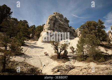 ID91136-00...IDAHO - Granite domes and pinyon pine trees in the City of Rocks National Reserve. Stock Photo
