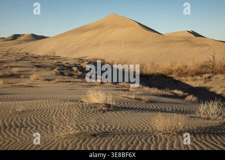 ID01172-00...IDAHO - Wave pattern on sand and a large sand dune beyond at Bruneau Dunes State Park. Stock Photo